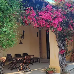 https://agriturismo-baglio-vecchio.sicilyhotelsitaly.net